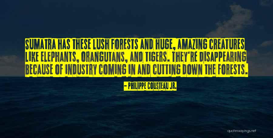 Philippe Cousteau Jr. Quotes 1822621 Philippe Cousteau Jr. Quotes 1822621