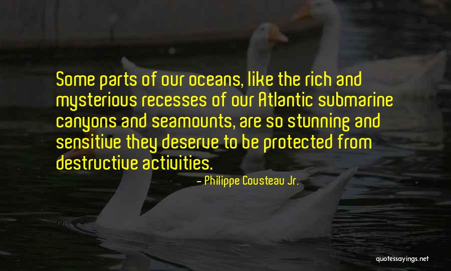 Philippe Cousteau Jr. Quotes 623179 Philippe Cousteau Jr. Quotes 623179
