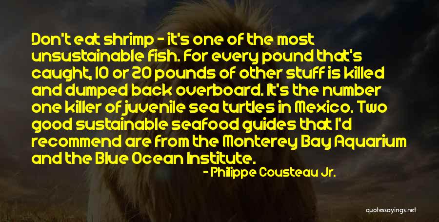 Philippe Cousteau Jr. Quotes 772727 Philippe Cousteau Jr. Quotes 772727