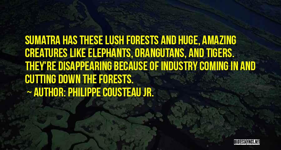 Philippe Cousteau Quotes By Philippe Cousteau Jr.