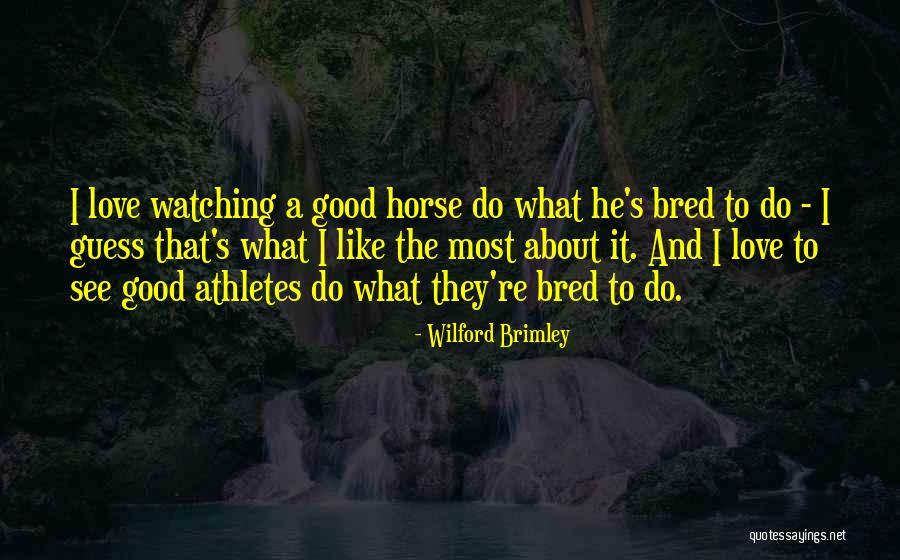Philippos Aristotelous Quotes By Wilford Brimley Philippos Aristotelous Quotes By Wilford Brimley