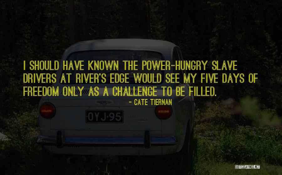 Philosophical Fiction Quotes By Cate Tiernan Philosophical Fiction Quotes By Cate Tiernan