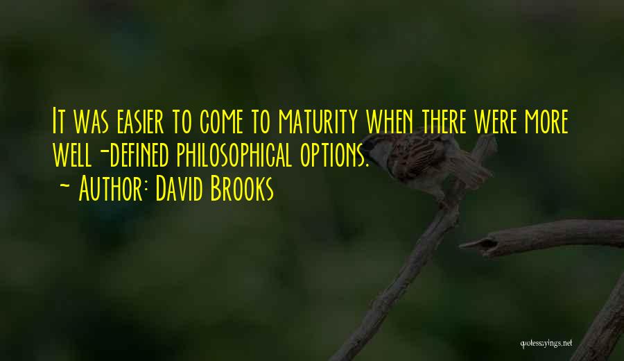 Philosophical Quotes By David Brooks