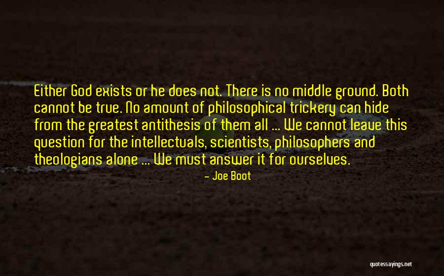 Philosophical Quotes By Joe Boot