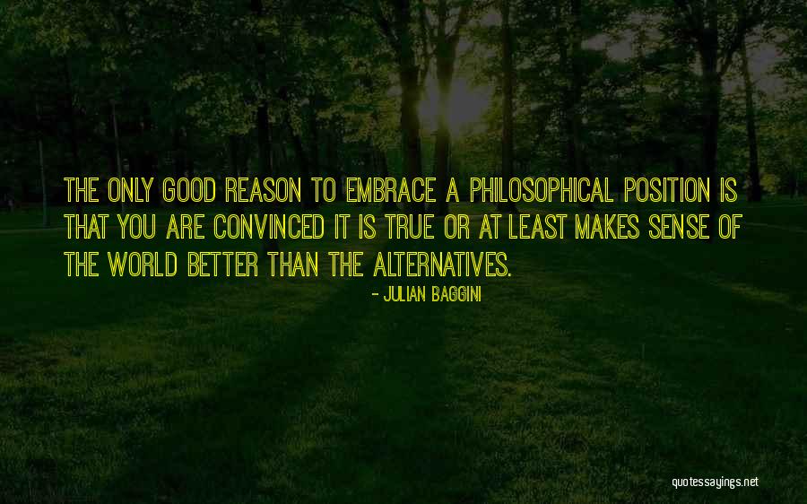 Philosophical Quotes By Julian Baggini