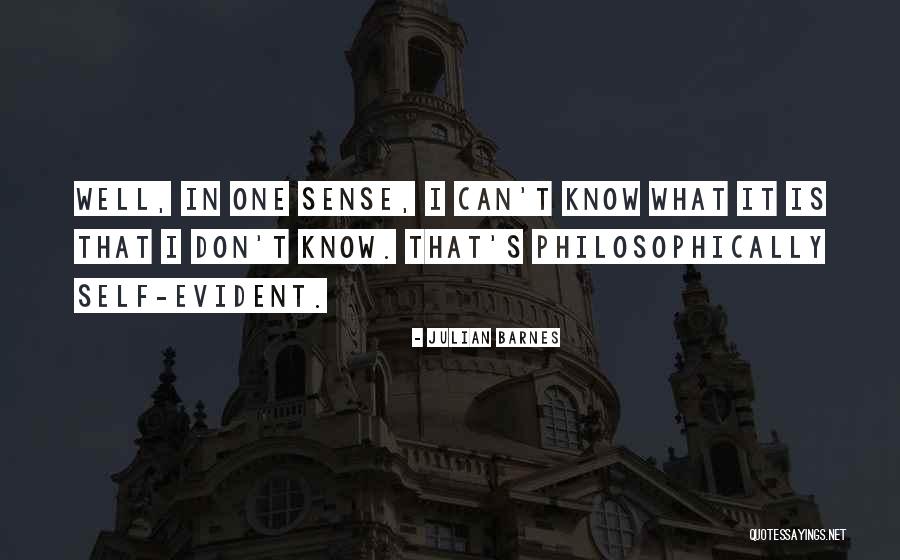Philosophically Quotes By Julian Barnes Philosophically Quotes By Julian Barnes