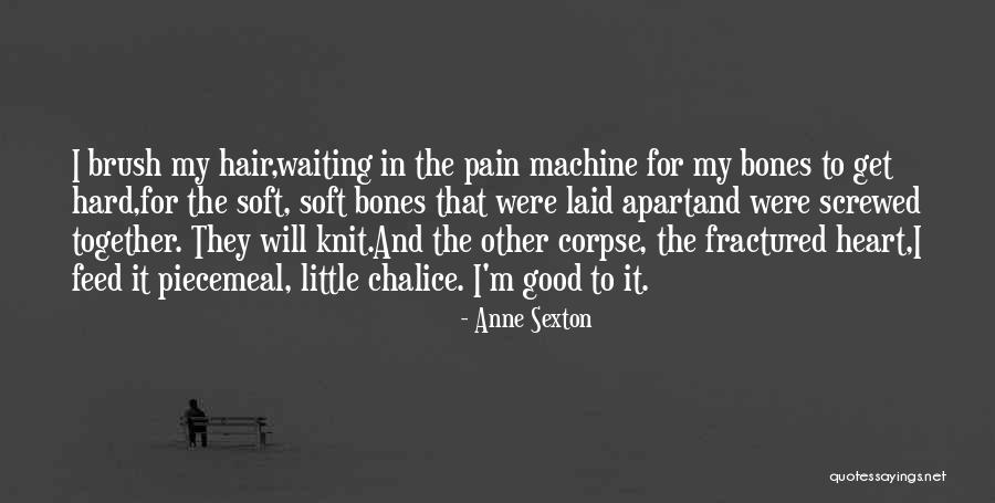 Philosophische Untersuchungen Quotes By Anne Sexton Philosophische Untersuchungen Quotes By Anne Sexton