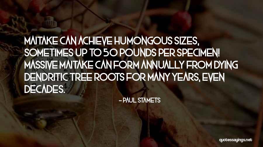 Philosophus Latin Quotes By Paul Stamets Philosophus Latin Quotes By Paul Stamets