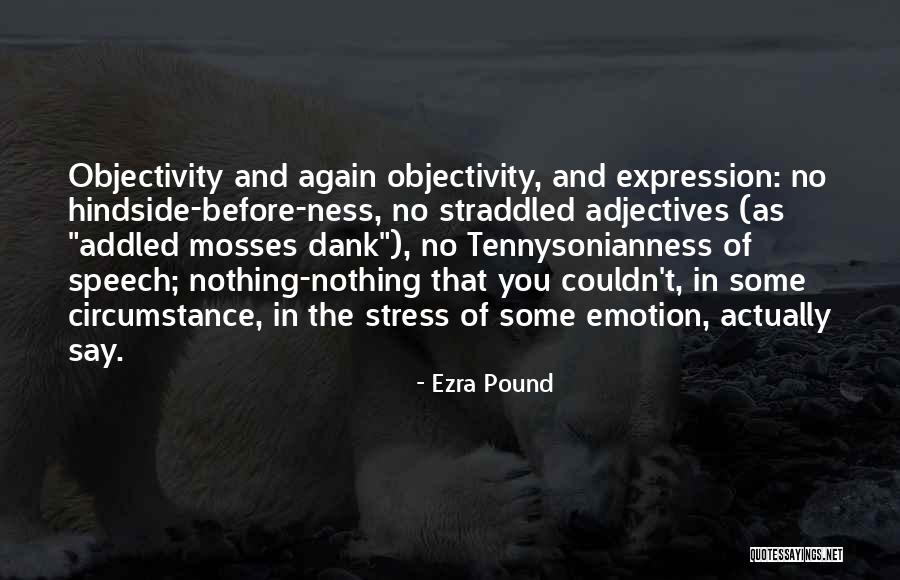 Philosophy About Family Quotes By Ezra Pound Philosophy About Family Quotes By Ezra Pound