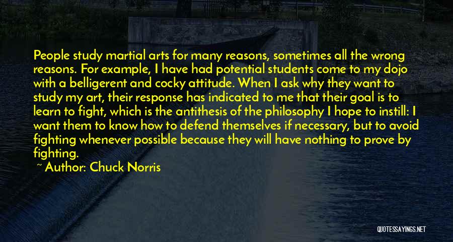 Philosophy And Art Quotes By Chuck Norris