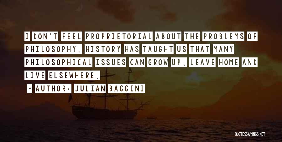Philosophy And History Quotes By Julian Baggini