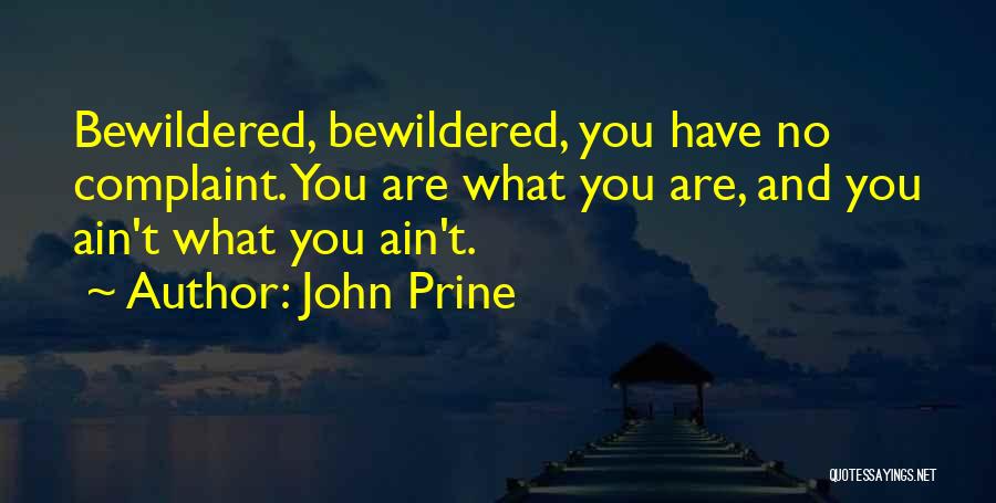 Philosophy And Quotes By John Prine