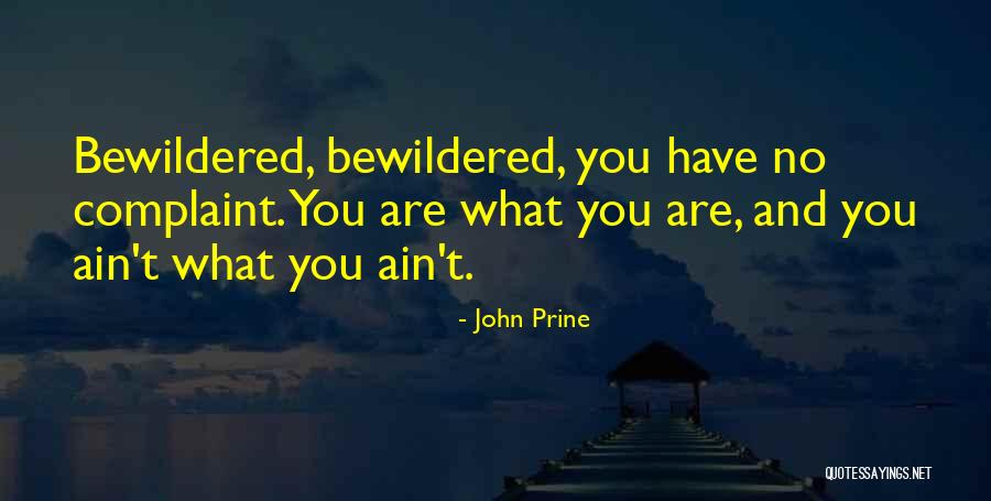 Philosophy And Quotes By John Prine