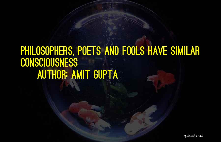 Philosophy Funny Quotes By Amit Gupta