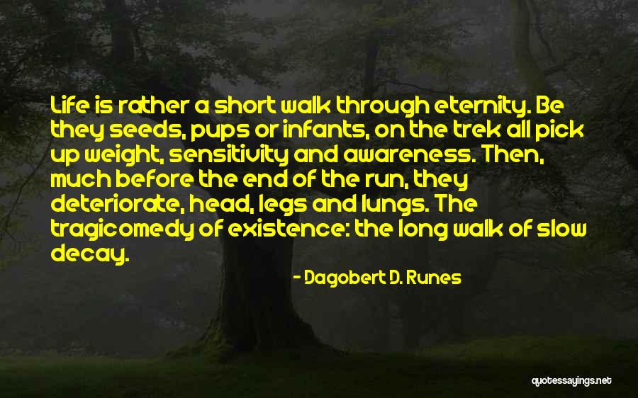 Philosophy In Life Short Quotes By Dagobert D. Runes