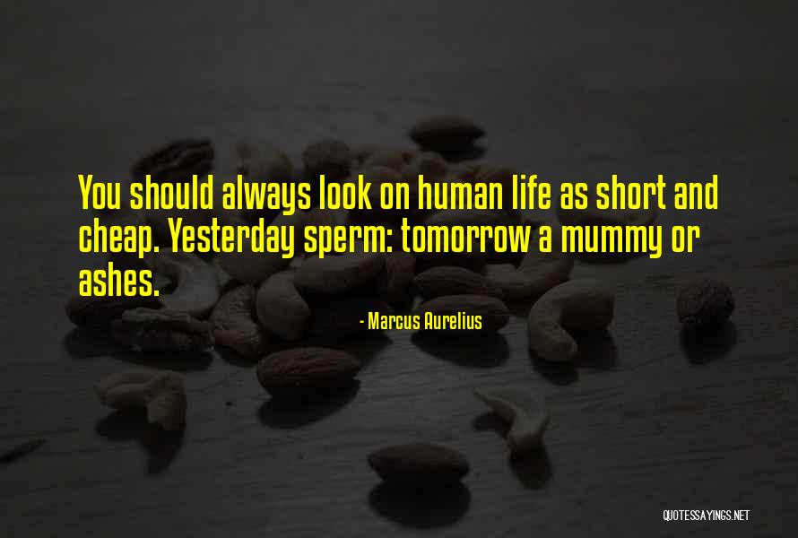 Philosophy In Life Short Quotes By Marcus Aurelius Philosophy In Life Short Quotes By Marcus Aurelius