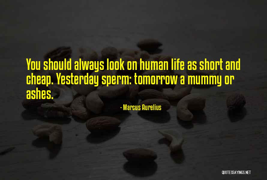 Philosophy In Life Short Quotes By Marcus Aurelius