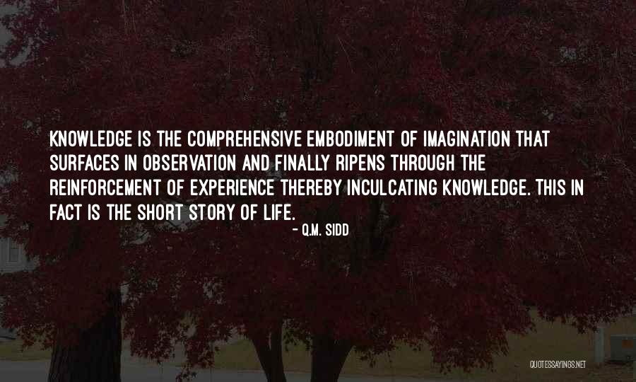 Philosophy In Life Short Quotes By Q.M. Sidd Philosophy In Life Short Quotes By Q.M. Sidd
