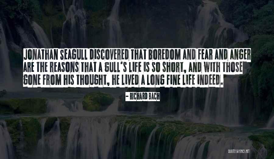 Philosophy In Life Short Quotes By Richard Bach Philosophy In Life Short Quotes By Richard Bach