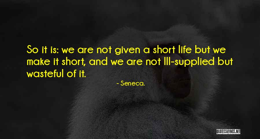 Philosophy In Life Short Quotes By Seneca.