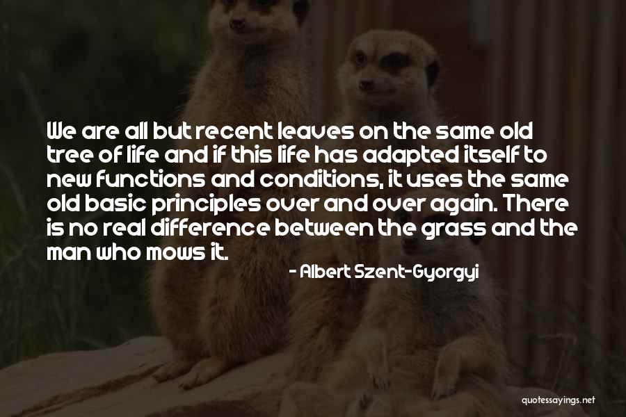 Philosophy Of Difference Quotes By Albert Szent-Gyorgyi Philosophy Of Difference Quotes By Albert Szent-Gyorgyi