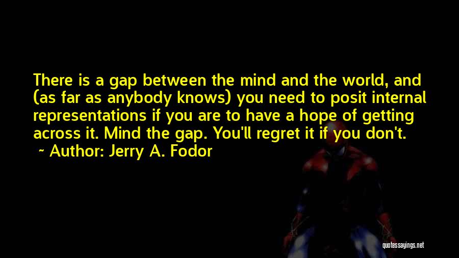 Philosophy Of Mind Quotes By Jerry A. Fodor