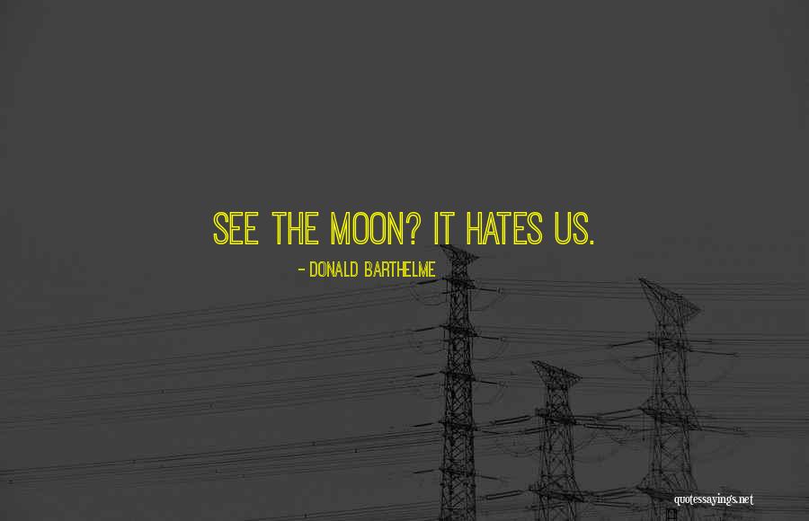 Philosophy Of Pessimism Quotes By Donald Barthelme