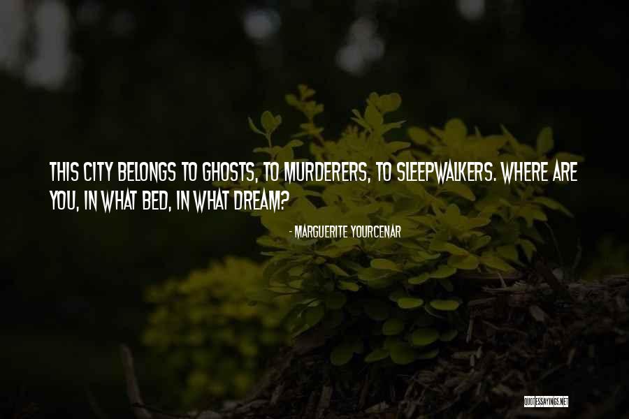Philosophy Of Pessimism Quotes By Marguerite Yourcenar