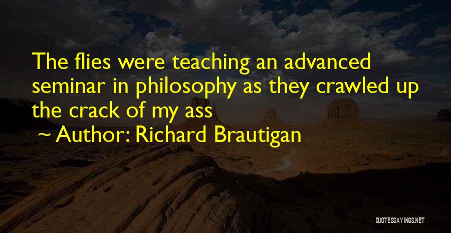 Philosophy Of Teaching Quotes By Richard Brautigan