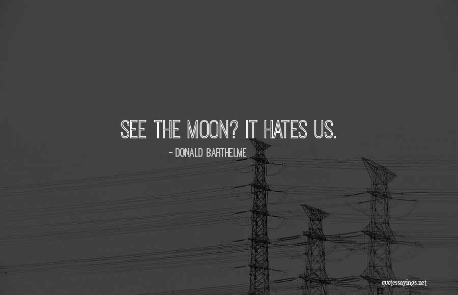 Philosophy Pessimism Quotes By Donald Barthelme Philosophy Pessimism Quotes By Donald Barthelme