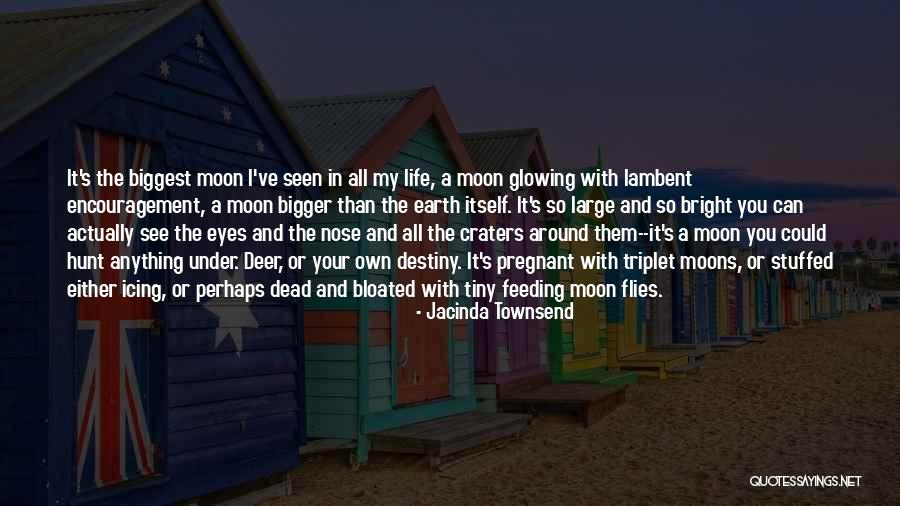 Philosoraptor Wisest Quotes By Jacinda Townsend Philosoraptor Wisest Quotes By Jacinda Townsend