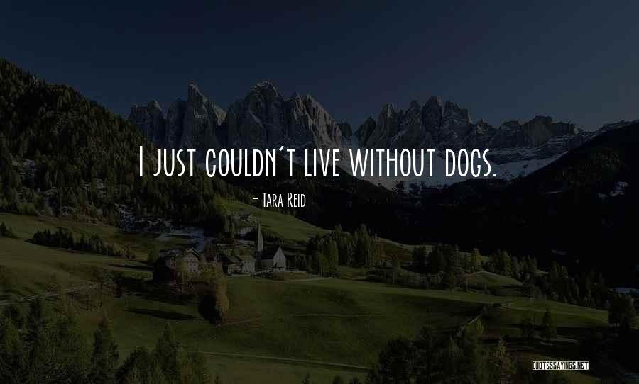 Phindiwe Rita Quotes By Tara Reid Phindiwe Rita Quotes By Tara Reid
