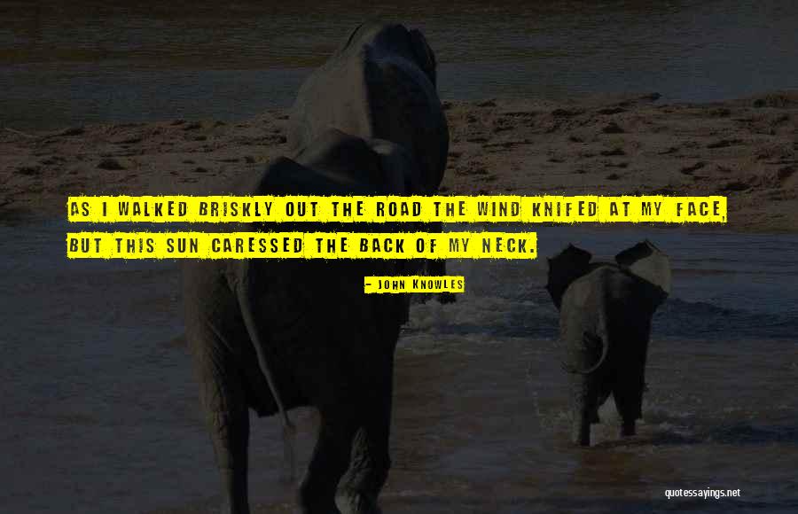 Phineas A Separate Peace Quotes By John Knowles Phineas A Separate Peace Quotes By John Knowles