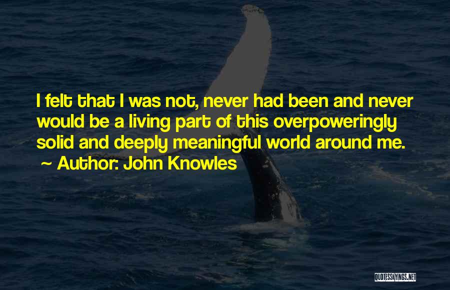 Phineas Quotes By John Knowles