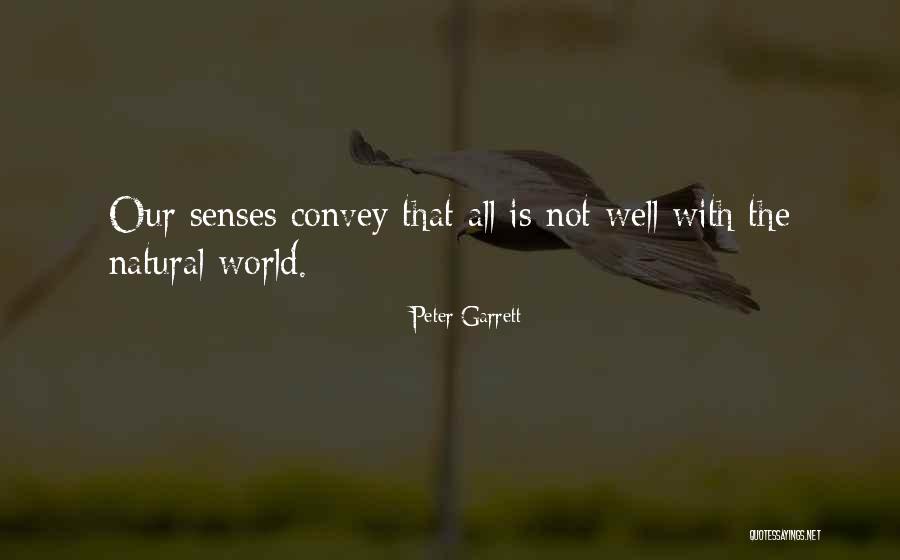 Phinehas Johnson Quotes By Peter Garrett Phinehas Johnson Quotes By Peter Garrett