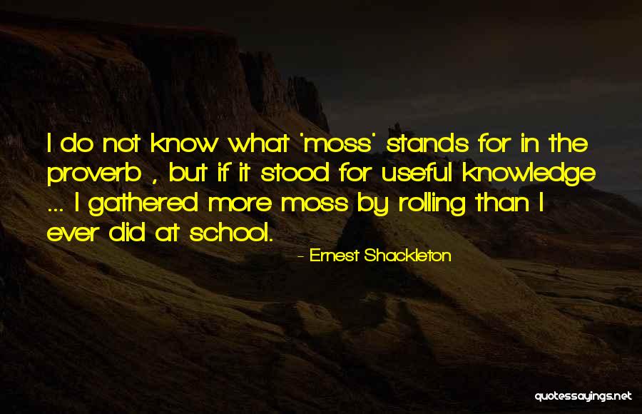 Phitak Neti Quotes By Ernest Shackleton Phitak Neti Quotes By Ernest Shackleton