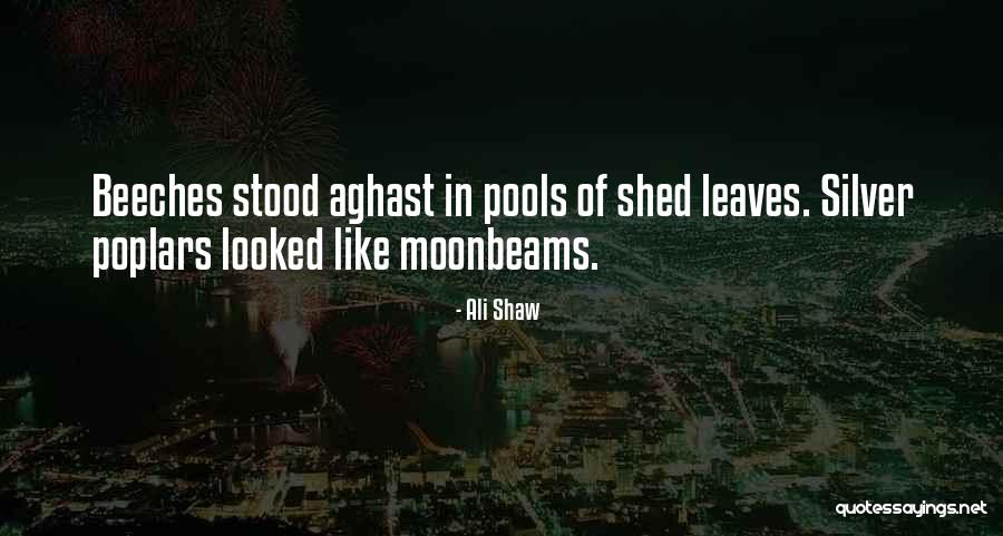 Phivos Leontiou Quotes By Ali Shaw Phivos Leontiou Quotes By Ali Shaw