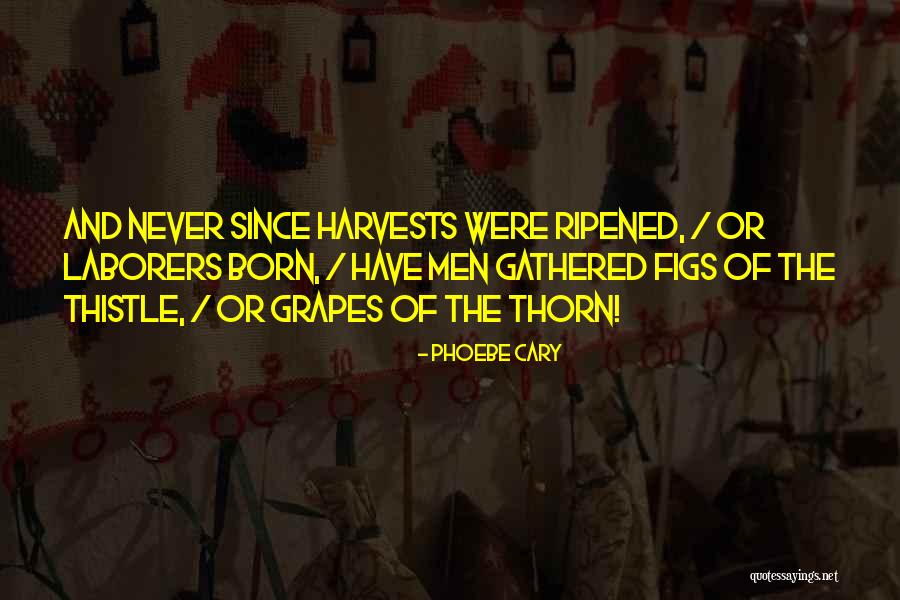 Phoebe Cary Quotes 1225811 Phoebe Cary Quotes 1225811