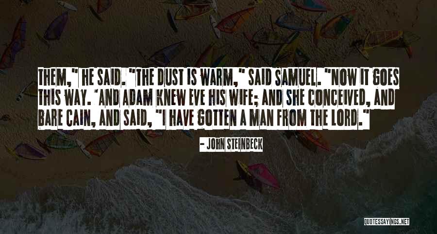 Phoenix Bird Inspirational Quotes By John Steinbeck Phoenix Bird Inspirational Quotes By John Steinbeck