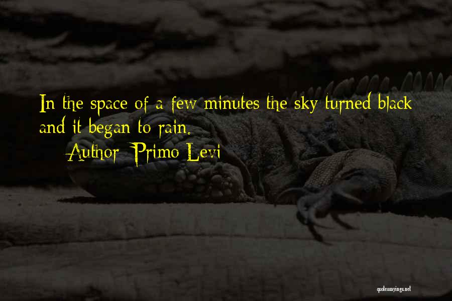 Phoenix Ikki Quotes By Primo Levi