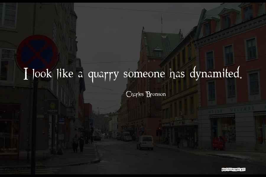 Phonographs Turntables Quotes By Charles Bronson Phonographs Turntables Quotes By Charles Bronson