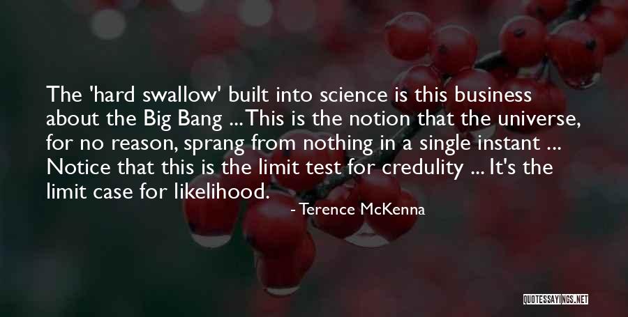 Phosphenes In Vision Quotes By Terence McKenna