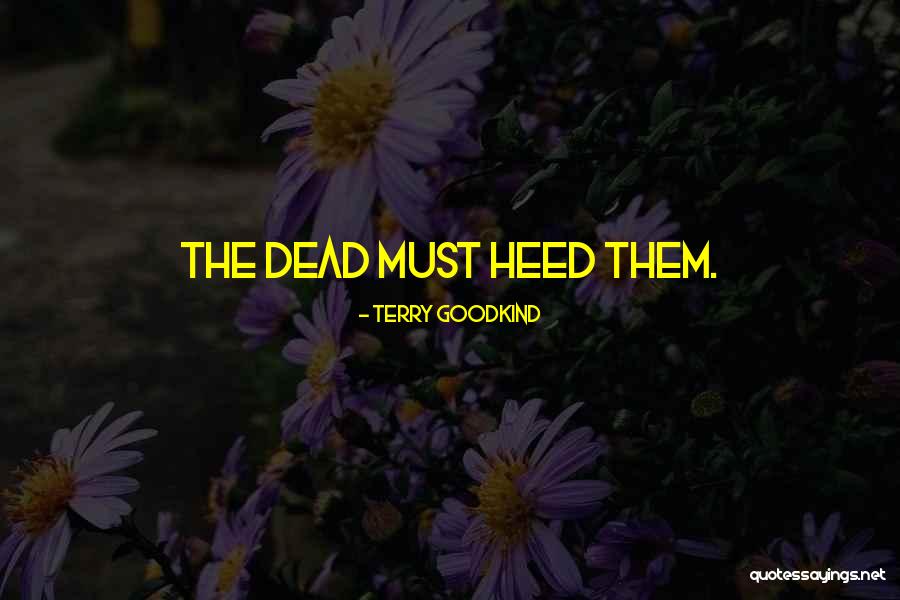 Phosphenes In Vision Quotes By Terry Goodkind