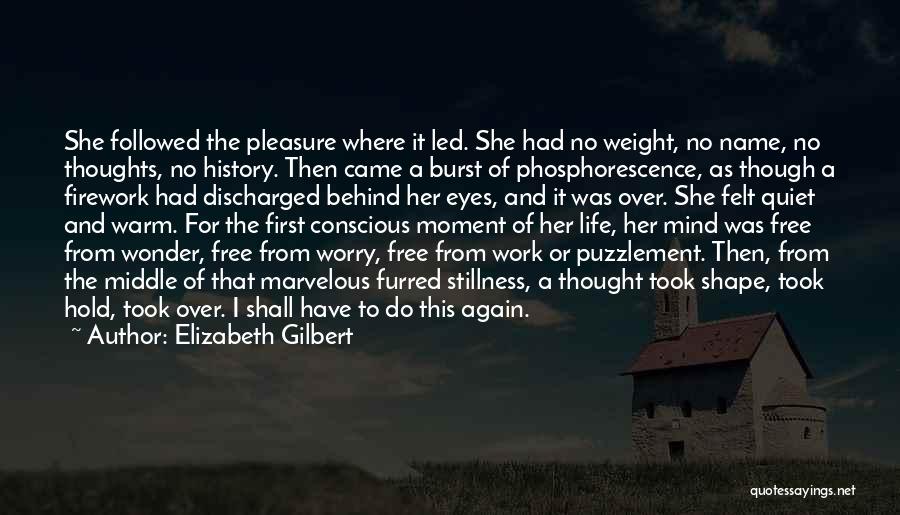 Phosphorescence Quotes By Elizabeth Gilbert