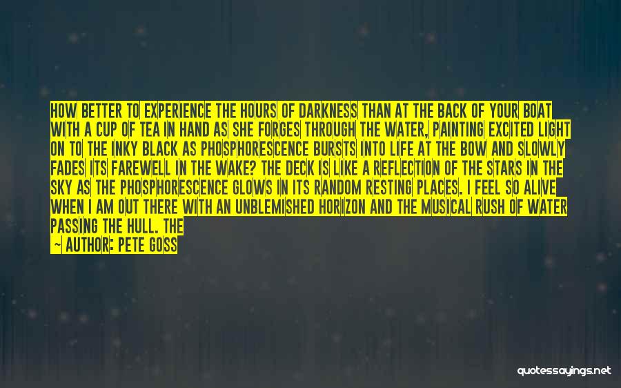 Phosphorescence Quotes By Pete Goss