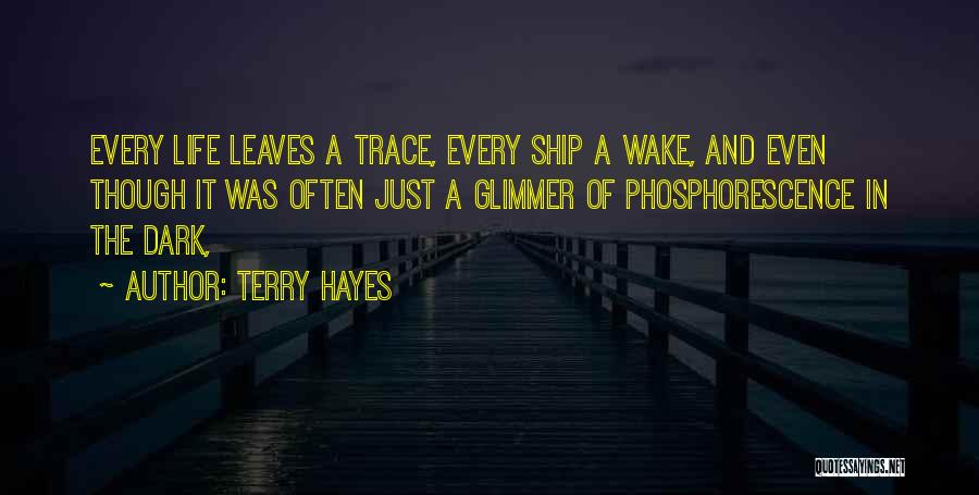 Phosphorescence Quotes By Terry Hayes