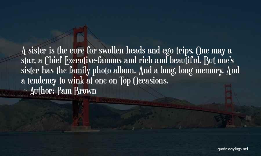 Photo Album Memory Quotes By Pam Brown