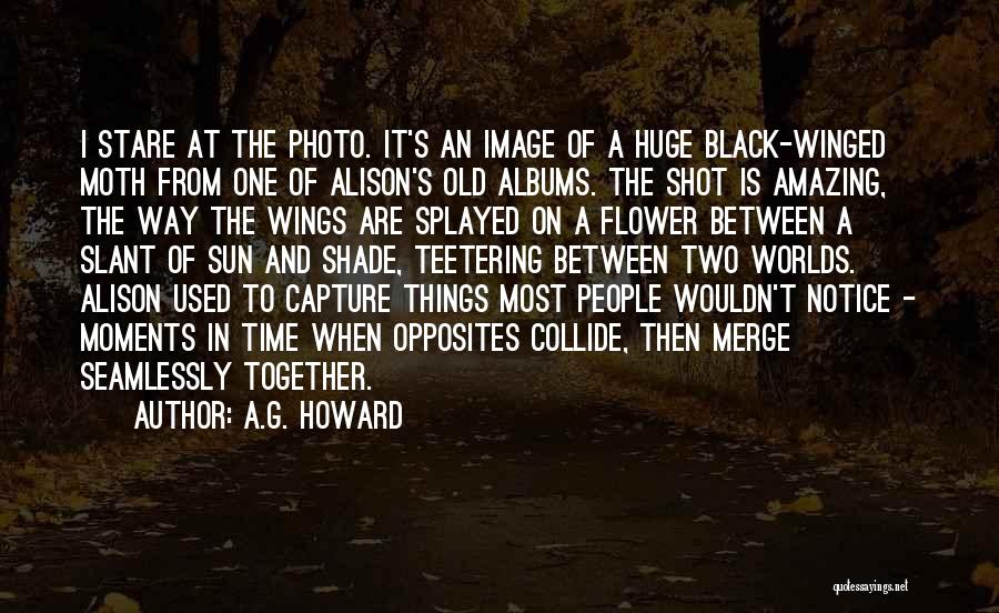Photo Albums Quotes By A.G. Howard