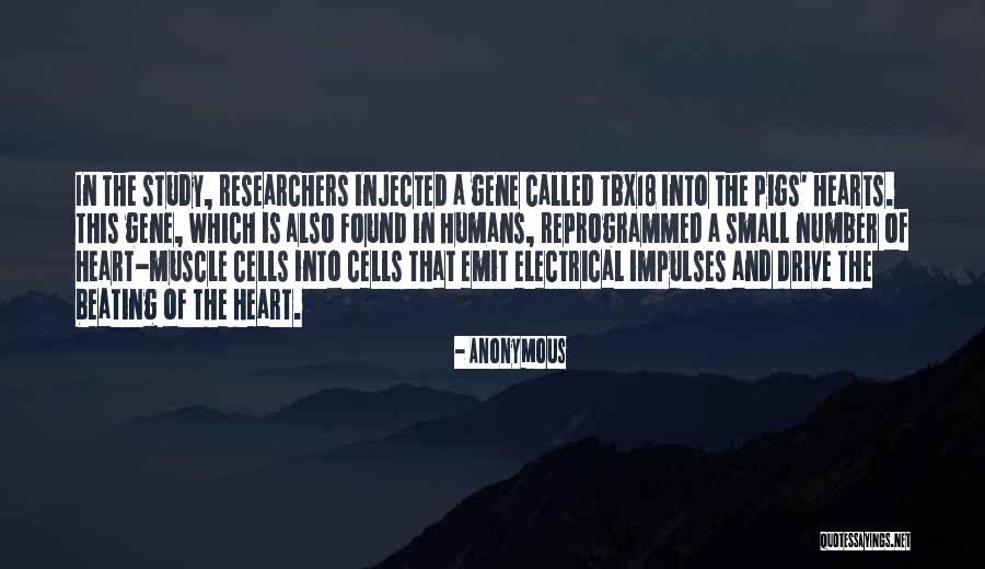 Photo Ark Quotes By Anonymous Photo Ark Quotes By Anonymous