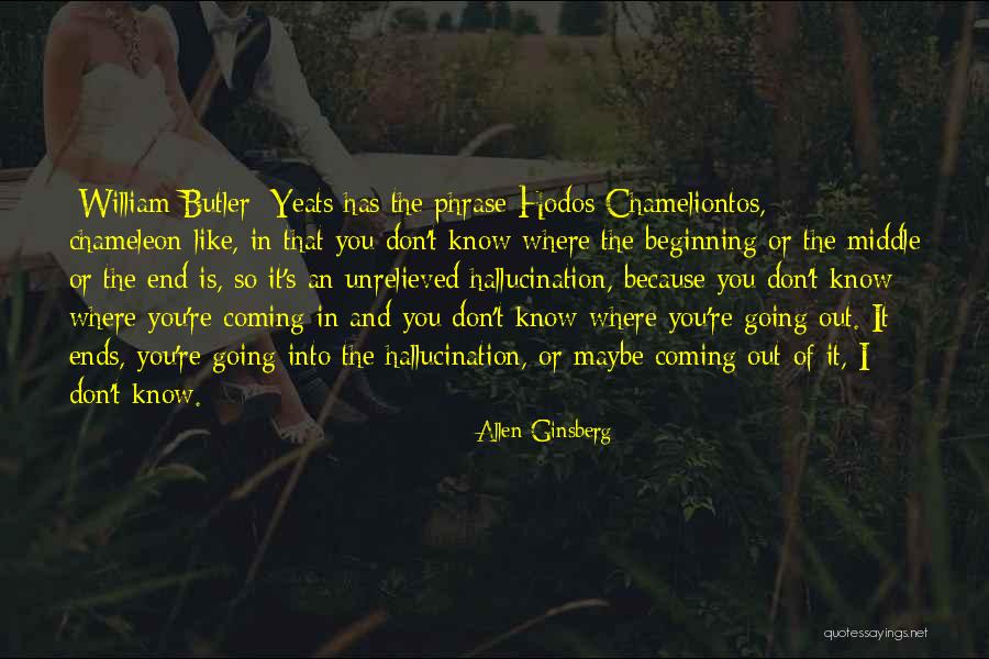 Photochemical Decomposition Quotes By Allen Ginsberg Photochemical Decomposition Quotes By Allen Ginsberg